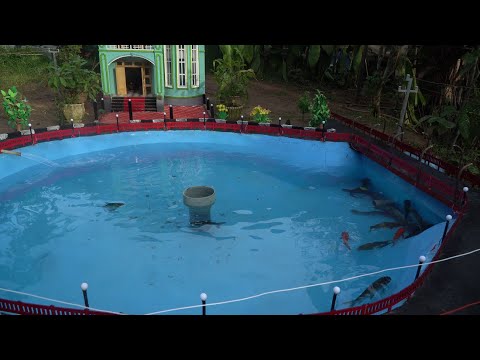 Details of the process of building my beautiful little house The end