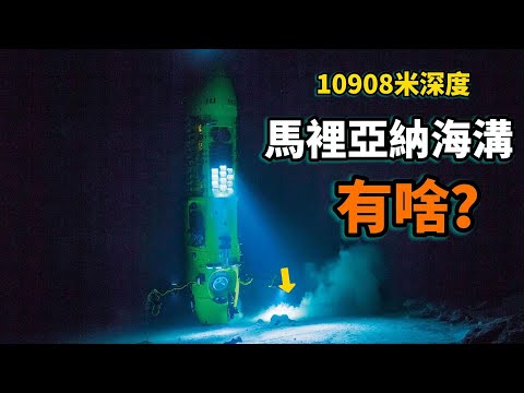 馬裡亞納海溝：尋找海洋最深處的秘密！為什麼深淵中會存在生命？為什麼它們可以抵禦強大水壓？