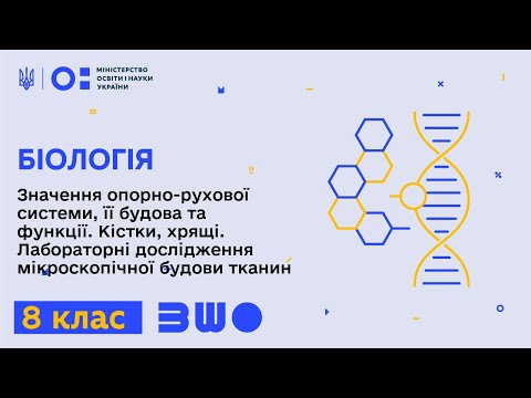 8 клас. Біологія. Значення опорно-рухової системи, її будова та функції. Кістки, хрящі