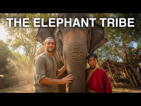 THE ELEPHANT MEN: The Incredible Story of the Tribe That Lives with Elephants in Thailand 🇹🇭