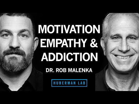 How Your Brain’s Reward Circuits Drive Your Choices | Dr. Robert Malenka