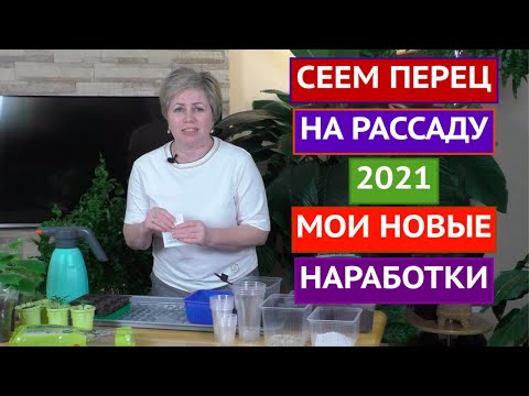 ГЛАВНЫЕ ПРАВИЛА ПОСАДКИ ПЕРЦА НА РАССАДУ! ВЫПОЛНИТЕ ИХ, И УРОЖАЙ ВАМ ОБЕСПЕЧЕН!