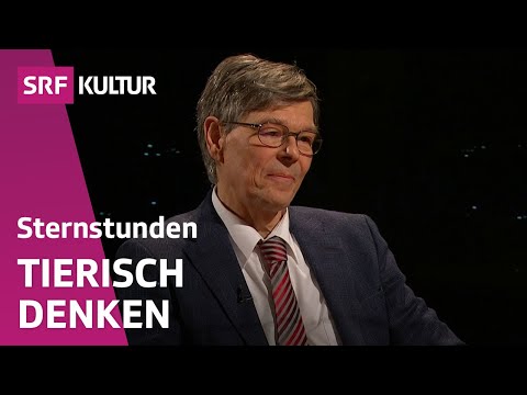 Den Geist der Tiere verstehen – aber wie? | Sternstunde Philosophie | SRF Kultur