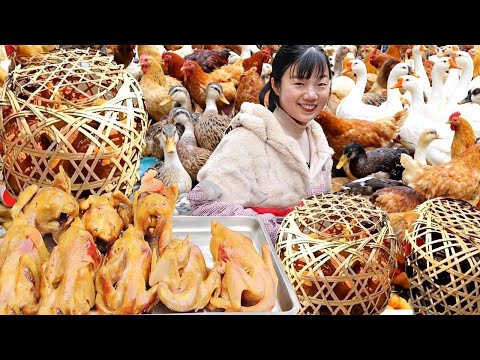 凌晨 4 点拉着 60 只鹅、鸭、鸡进城售卖！4 小时卖完这车货能赚 1 万元，阿姨们大丰收啦！