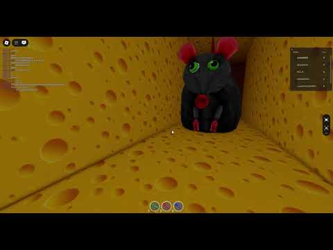 99% ЛЮДЕЙ НЕ СМОГУТ СБЕЖАТЬ ОТ ЗЛОЙ КРЫСЫ!