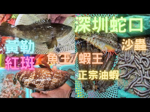 休魚期前最後一日蛇口,超平斑皇😍又黃勒又紅斑👍再見到蝦王😱油蝦,估唔到咁多好野🎊~fishcutting香港海鮮~社長遊街市Seafood