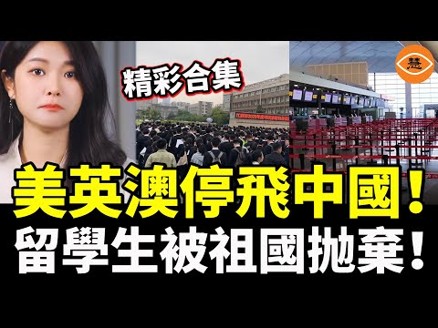 【精彩合集】一覺醒來天塌了！中國被全世界抛棄，美英澳停飛中國；留學生留學歸來想報效祖國，祖國冷冷扔下一句話：海歸，1個都不要！