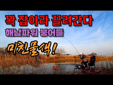 미친물색에 파워붕어를 만나다  역시 해남! 개체수 무진장#fishing #camping #낚시 #토코스토어 #동일레져