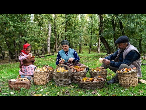 Autumn Forest Mushrooms — Collecting and Pickling 🍁