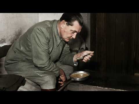 The Secret Nuremberg Notebooks