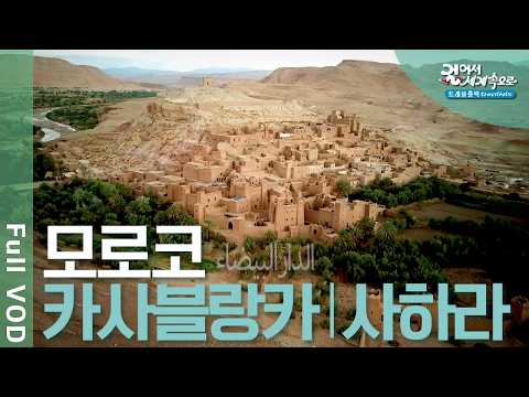 ✈️ Breath of the Sahara, Morocco! Sahara Desert, Fes, Kasbah | Travelholic | KBS 20240712