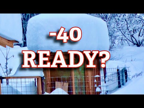 Building a chicken coop for -40 degrees