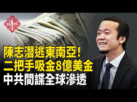 陳志疑藏身東南亞 官二代揭月失蹤百人真相 中共50萬間諜佈局全球   主播：麗雯【紅朝秘聞】