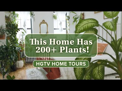 Revisit Plant Kween’s Magnificent Brooklyn Apartment | Handmade Home Tour