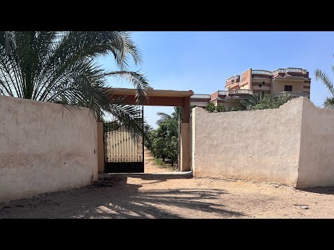 مزرعة نموذجية متكاملة ١٠ فدان ( سكني - زراعي - مواشي - داجني - سمكي ) ري نيلي في  وادي الملاك
