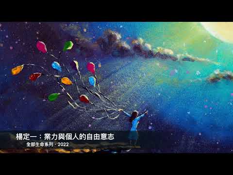 楊定一：業力與個人的自由意志