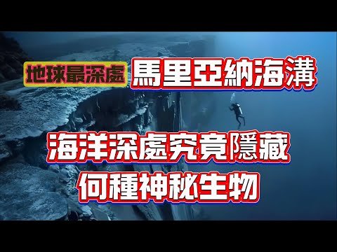 【粵講越謎】| 地球最深的地方-馬里亞納海溝，海洋的最深處，究竟隱藏著何種神秘的生物，它們如何在黑暗的海底中生存？|  #懸疑 #未解之謎 #超自然事件 #廣東話 #獵奇#神秘