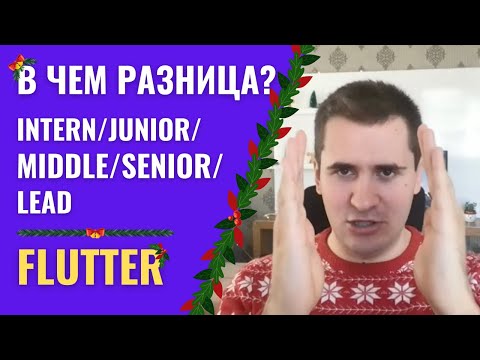 Разница между Flutter Intern/Junior/Middle/Senior/Lead | WTF Share #4