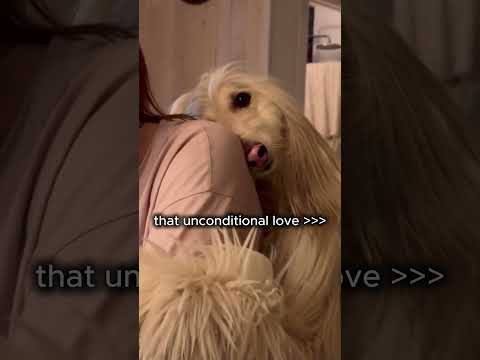 If this isn’t love, idk what is! 🥹 “Lifeline” by Piano Pill out now! 🎹💊#pianopill