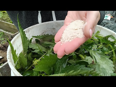 ЗАБРОДИЛКА БЕЗ ЗАПАХА | УВЕЛИЧИВАЕМ УРОЖАИ