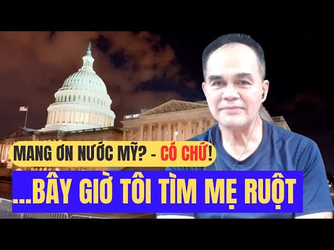 Vietnamese-American Mixed-Race Child Searches for Biological Mother After Being Deported Back to ...