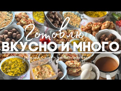 НАГОТОВИЛА НА НЕСКОЛЬКО ДНЕЙ. КАК ГОТОВИТЬ БЫСТРО?
