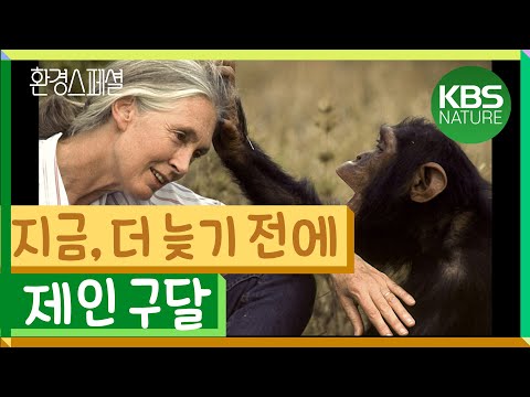 [세계여성의날] 지금, 더 늦기 전에 - 동물학자 제인 구달  | 환경스페셜 "제인 구달 그가 본 침팬지와 인간" (2003년12월 17일 방송)