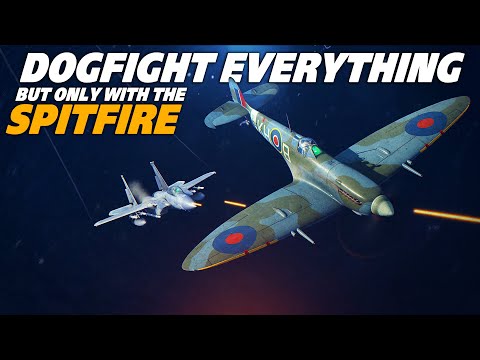 Dogfight Everything But Only In The Spitfire | Digital Combat Simulator | DCS |