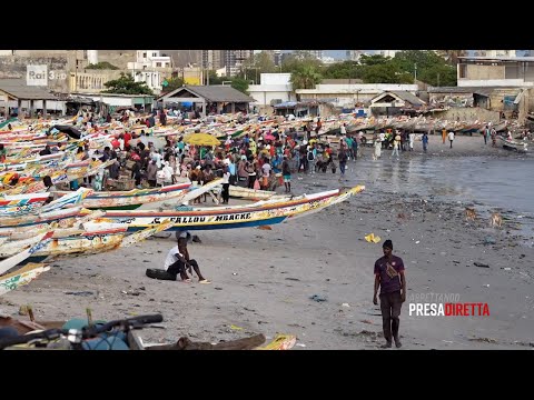 Senegal, famiglie sotto ricatto - PresaDiretta 19/10/2025