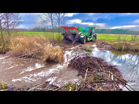 Will those MACHINES be able to break BEAVER DAMS?