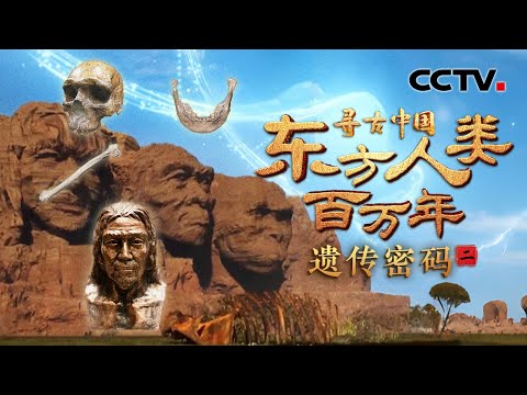 继“北京人”之后，周口店遗址又发现了哪些东方古人类？他们会是我们的祖先吗？《东方人类百万年·遗传密码》| CCTV「寻古中国」20250531