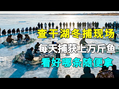 查干湖冬捕现场,每天捕获上万斤鱼,看好哪条随便拿,在冰面是如何捕鱼的?#纪录片#冬天捕鱼【中国记忆】