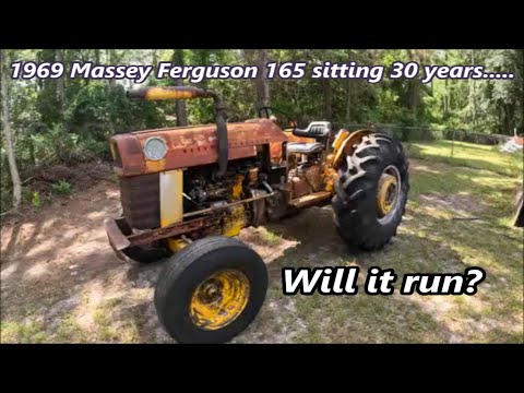 1969 Massey Ferguson 165 revival | Will it run?