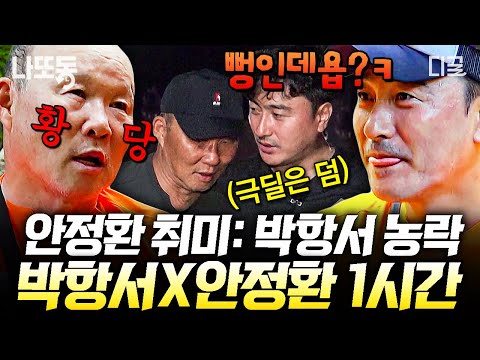 [#손둥동굴] (1시간) 스승 박항서 극딜하는 제자 안정환ㅋㅋ💥 안정환X박항서 레전드 혐관 케미 몰아보기 | #나중에또볼동영상