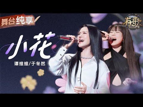 【纯享版】谭维维于冬然默契合作新歌《小花》 字里行间都透着生命的坚韧！ #有歌2 EP4 20260123