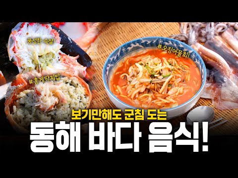 강원도 여행🚕🚕간다면 필수시청! 군침 가득 흘리는 동해 음식🍱🦀 | KBS 210617 방송