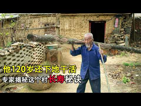 Working in the fields at the age of 120, born in the Qing Dynasty, why is this village long-lived?