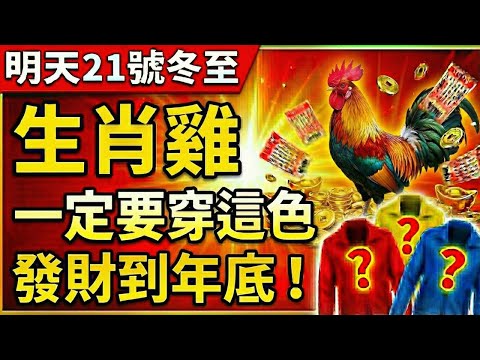 生肖雞注意！明天12月21號，農曆十一月初二是「冬至」，你穿這顏色必發財！天天發財到年底！#屬雞 #冬至 #屬雞運勢 #生肖雞運勢 #財運 #招財 #偏財 #幸運顏色 #風水 #改運 #生肖雞 #風水