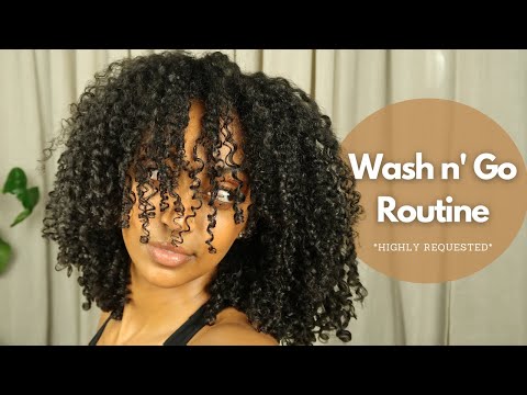 My Detailed Wash N' Go Routine... *HIGHLY REQUESTED* ✨