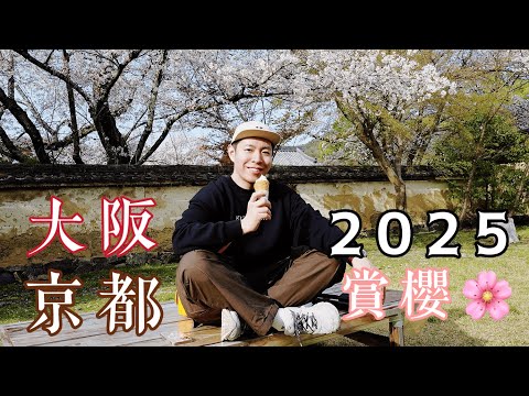 『日本賞櫻』大阪京都！上百品種一次看 櫻吹雪美炸 🆈 yy生活誌