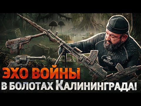 Эхо войны в Калининграде! Что можно найти в болоте?