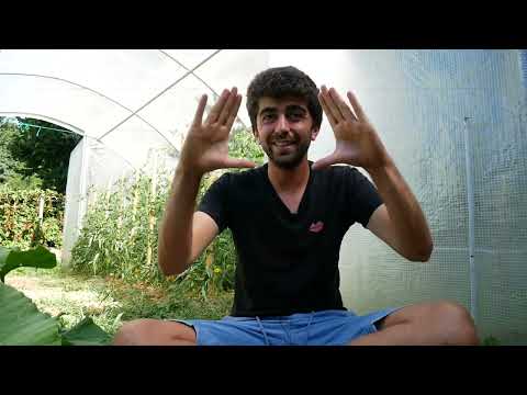 Lutter contre les limaces et les escargots avec le biocontrôle