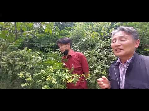 청도군제피연구회