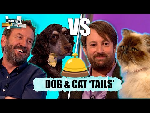DOGS vs CATS: The Wildest WILTY Pet Stories Showdown! | Would I Lie To You?