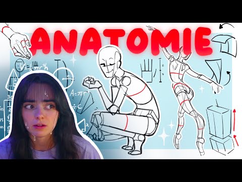 How to draw the human body?