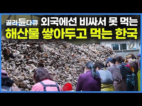 한국처럼 외국에서 팔면 한 그릇에 수십만 원? 까도 까도 넘쳐 흐르는 최고급 해산물｜굴을 대량생산하는 통영의 굴 양식장｜극한직업｜#골라듄다큐