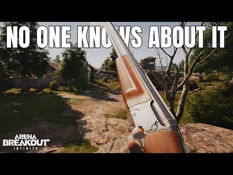 Using An INSANE HIDDEN GUN In Arena Breakout Infinite