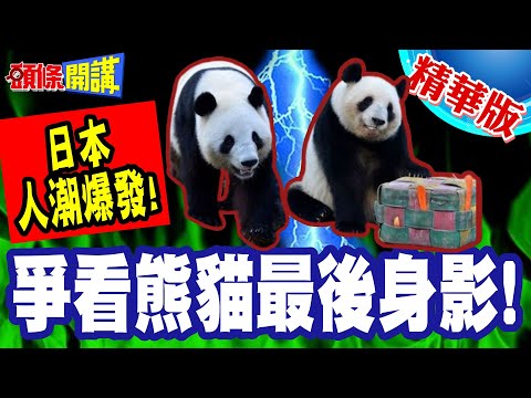看熊貓打麻將!爭看熊貓最後身影! | 日本人潮爆發!限看一分鐘!日本右翼眼紅吃味嫌棄租金貴!