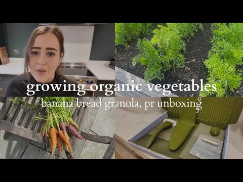 How my first year of growing organic vegetables went, unboxing pr, home cooking | vlog