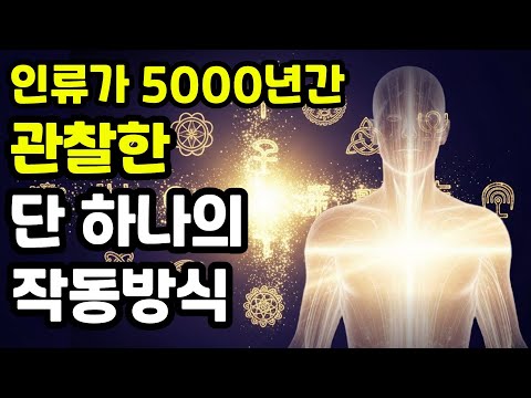 인류가 5000년간 관찰한 작동방식 | 교류조차 없던 문명인데 구조는 똑같았다